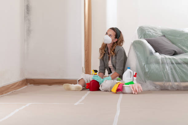 Reliable Attic Mold Removal contractor in Bowie, TX by WQB Mold Removal